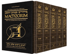 Schottenstein Interlinear Machzor 5 Vol. Set Full Size Alligator Leather - Ashkenaz