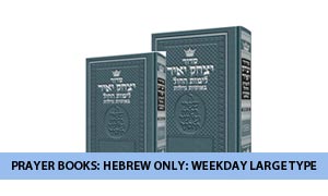 Prayer Books: Hebrew Only: Weekday Large Type